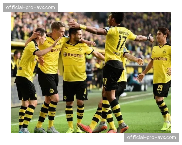 多特蒙德计划耗资2000万欧元修建多功能体育馆